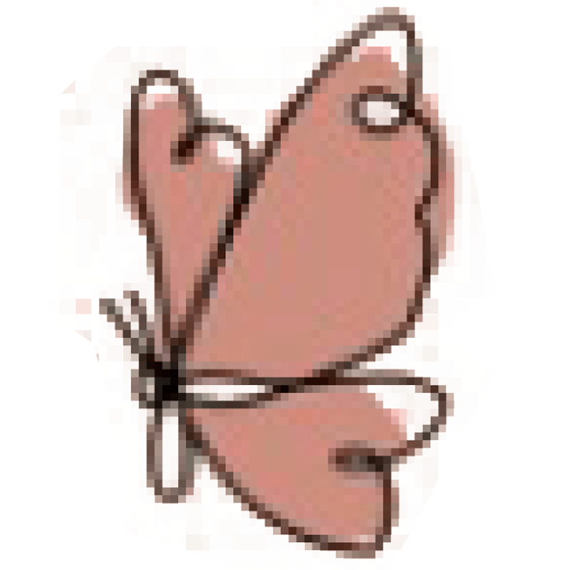 butterfly
